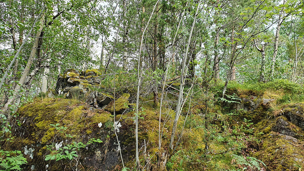 Oppe på Lerheimshaugen