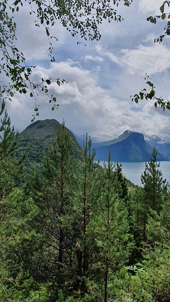 Klungnesveten og Grisetskolten 