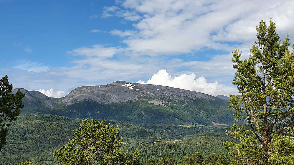 Ble sommer på Urfjellet også 