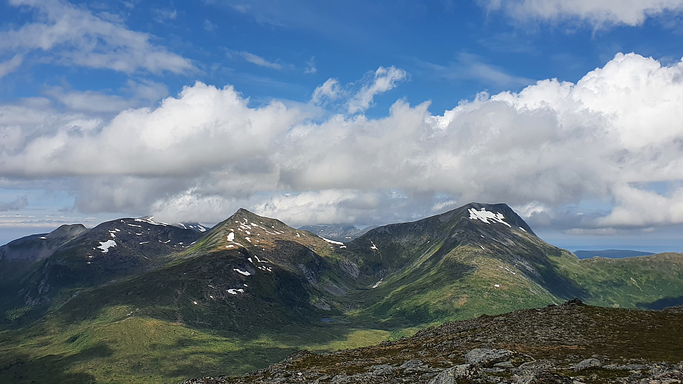 Bjørnen og Luten