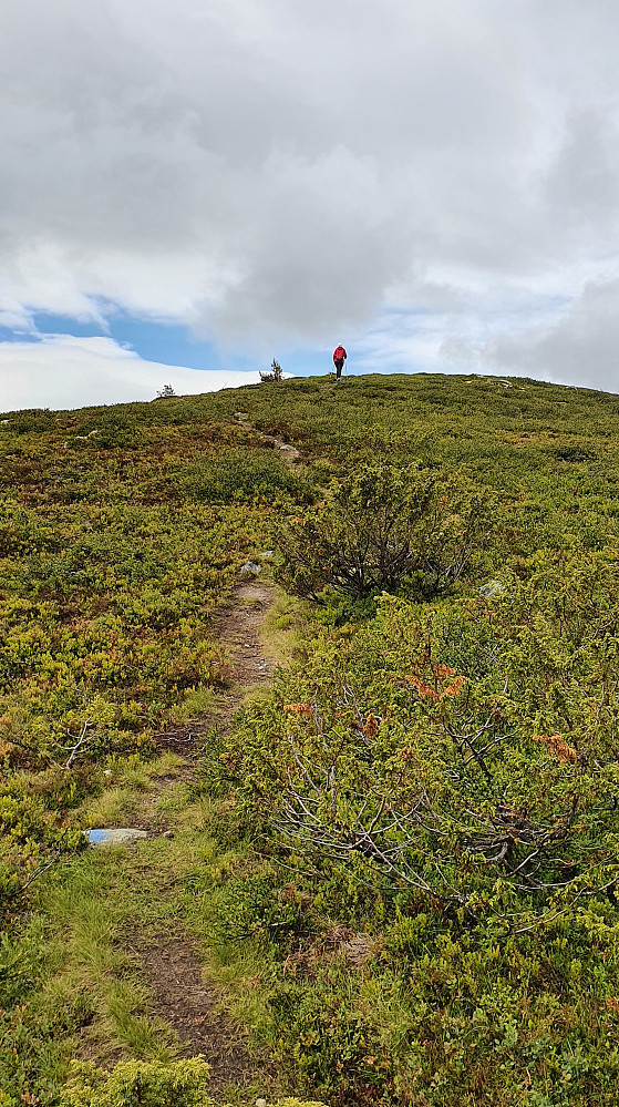 Oppe på snaufjellet 