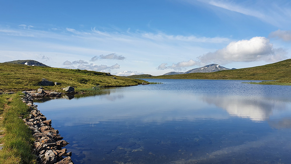 Måsvatnet
