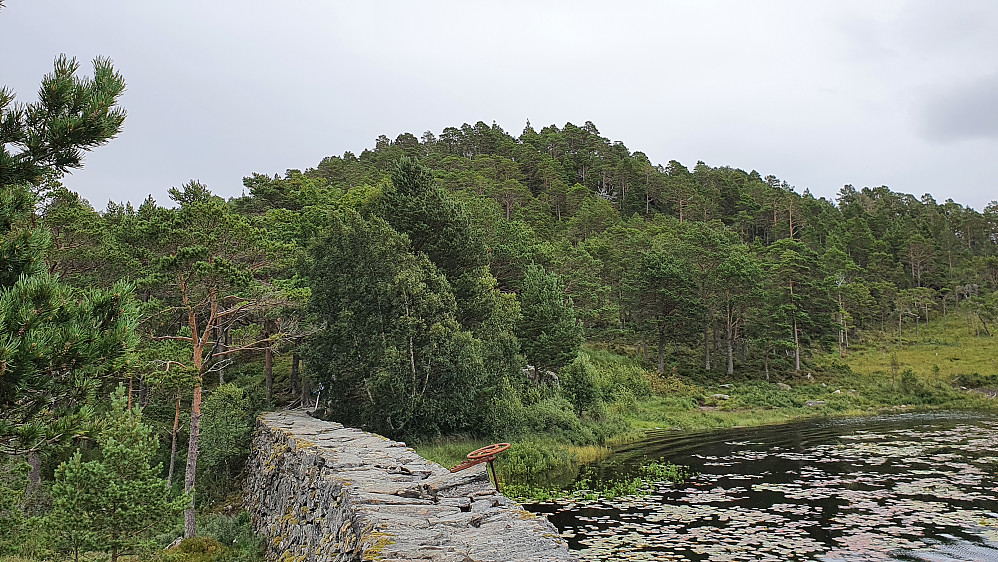 Seterhaugen