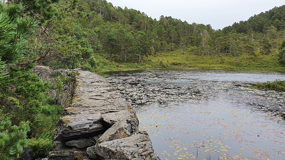 Ved Drabovatnet 