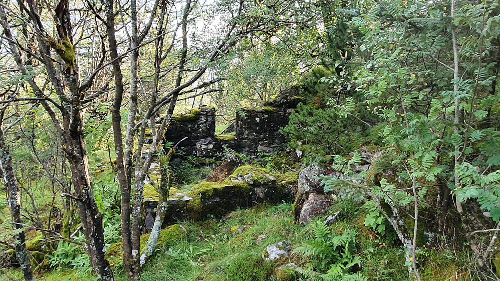 Trollborg (ruin) - ivrige på slike Peakbook-elementer i Bergen 
