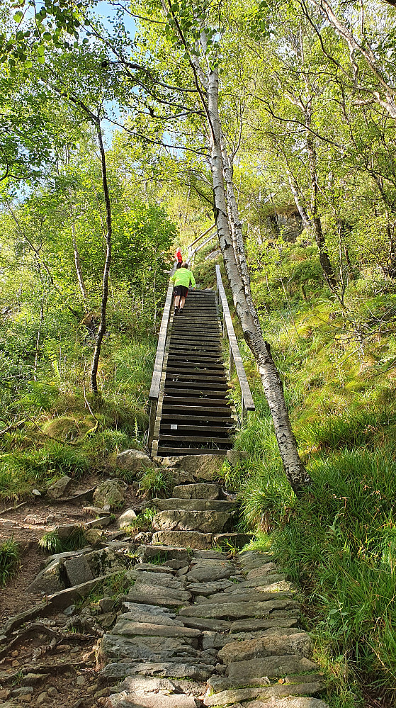 Tretrapp mot slutten
