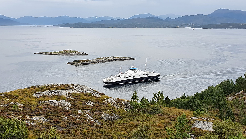 Ferja på veg inn til Tømmervågen. Kom akkurat for sent til forrige ferje, da rekker man akkurat en svipp til høyeste punkt på Golma (Storhaugen). 500 meter og 10 min t/r.