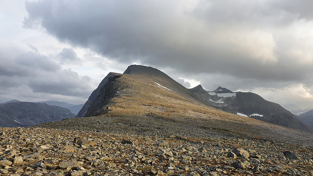 Ryssdalsnebba, Storgladnebba og Staveskoren