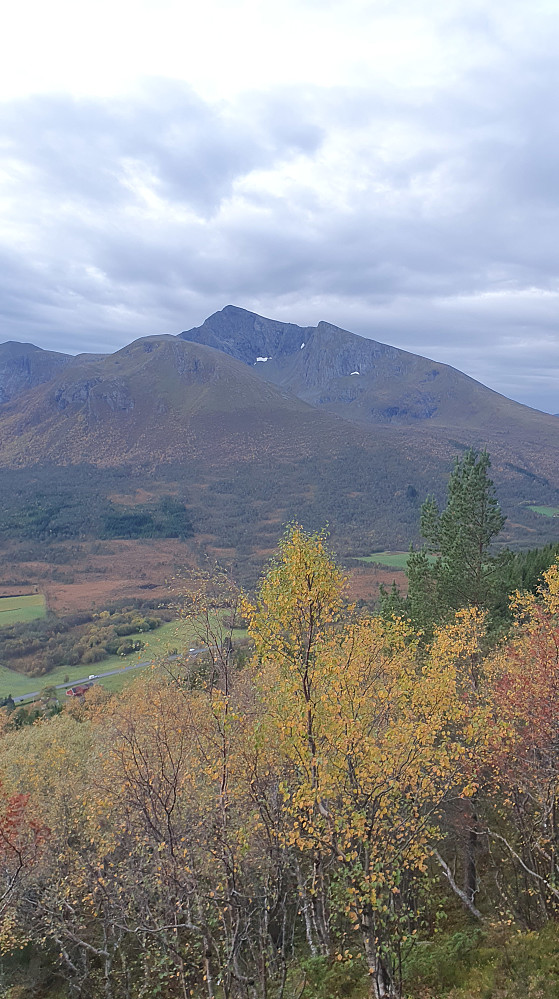 Kvannfjellet