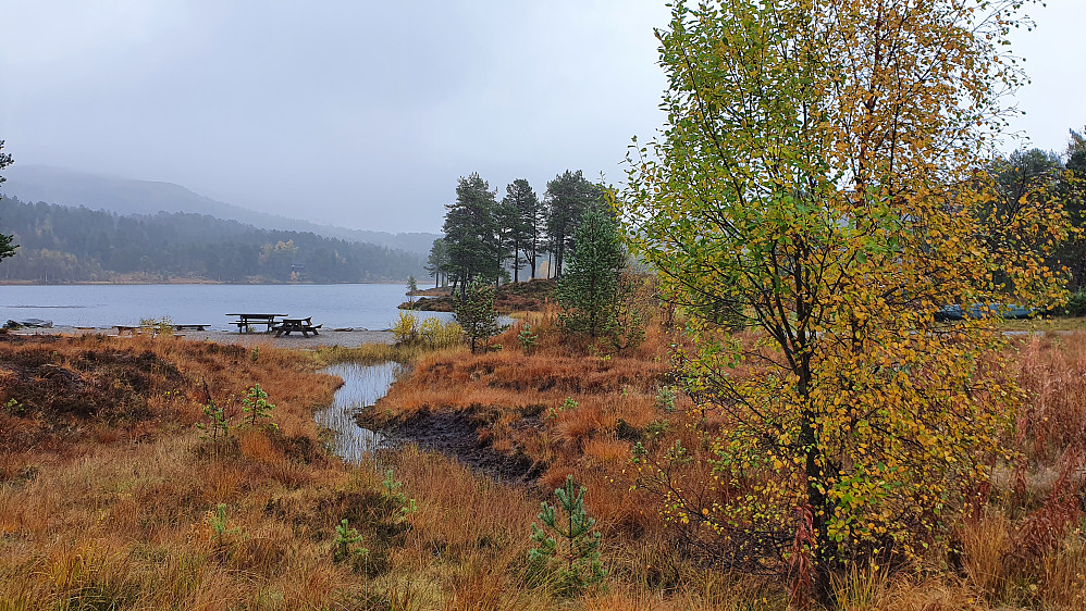 Ved Øverlandsvatnet