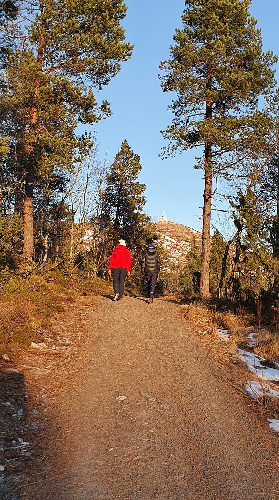 Tusten i sikte 