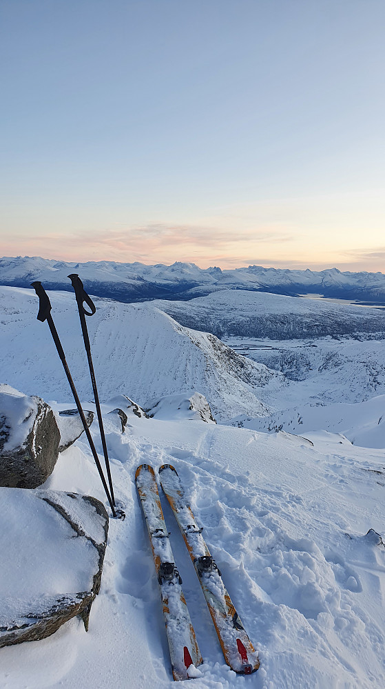 På Kvannfjellet