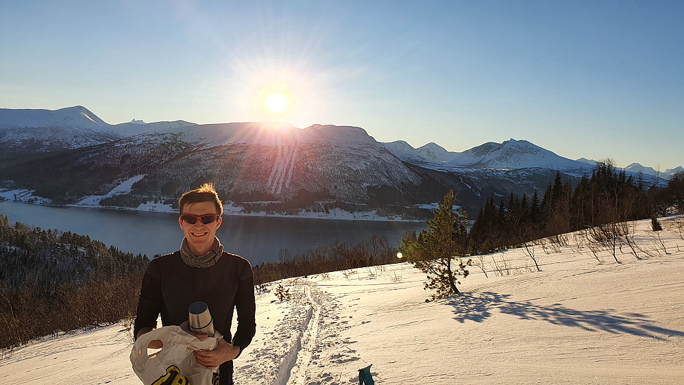 Kommet over skoggrensen og opp i sola