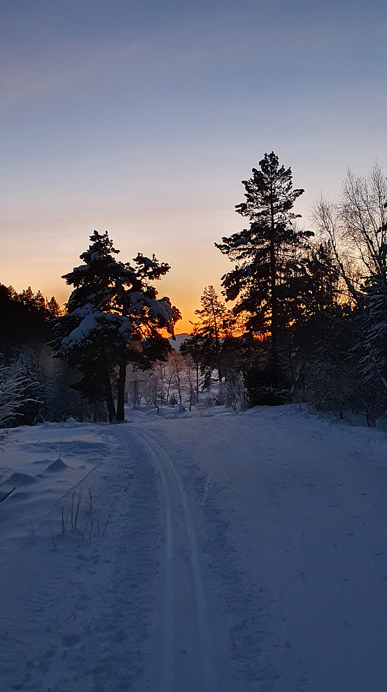I Moldedalen