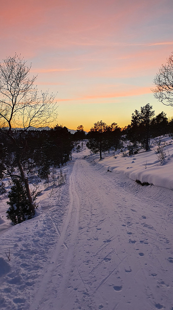 Tilbakeblikk nesten øverst i løypa