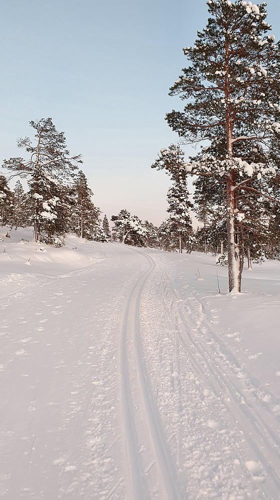 Oppover Hindalen