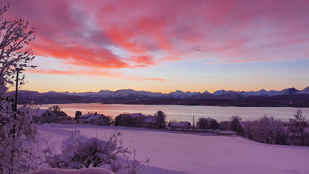 Morgenstemning nytes fra hjemmekontoret.