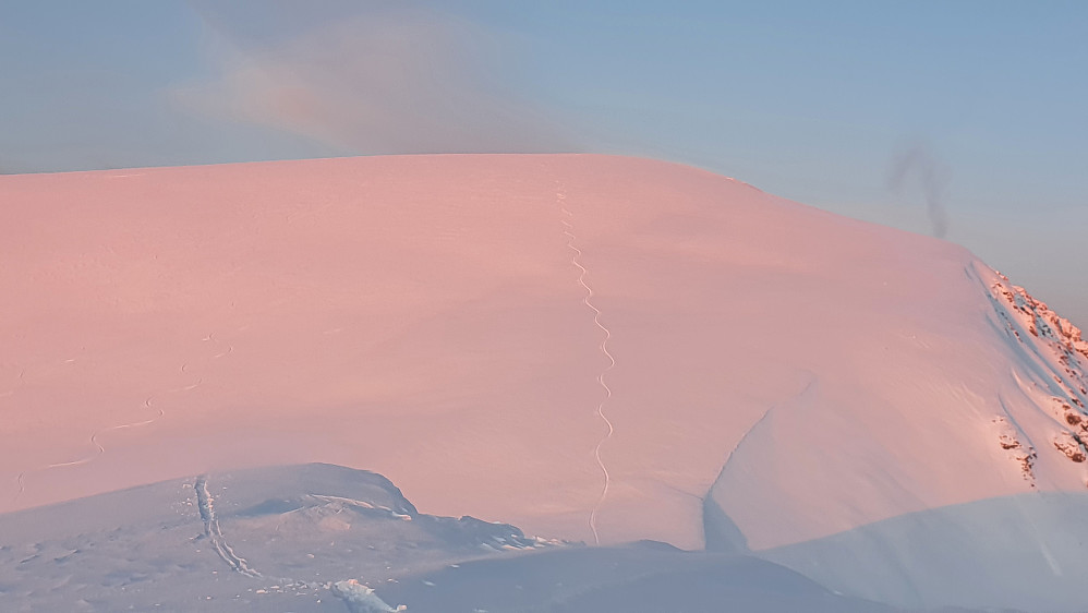 På Søre Kvannfjellet 