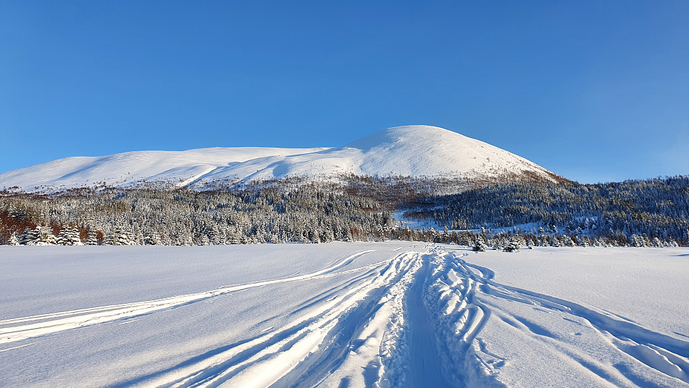 Kursen satt mot Kvannfjellet 