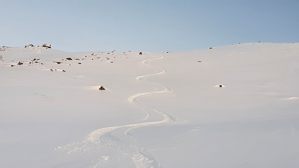 Lenger ned rett før småskogen