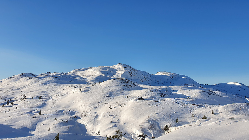 Lågfjellet