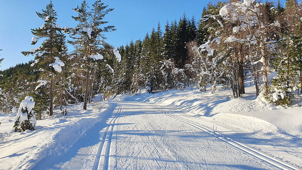 I Kordalen
