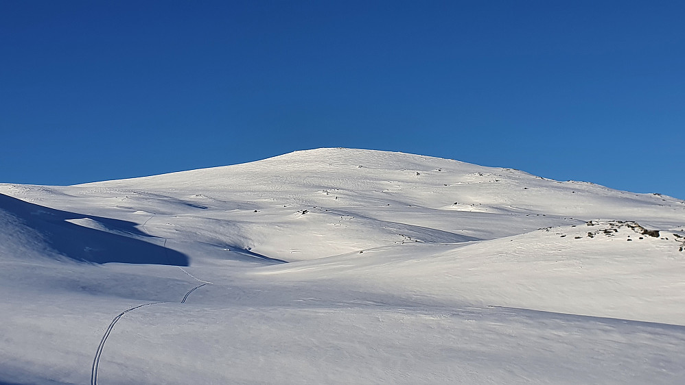 Maifjellet