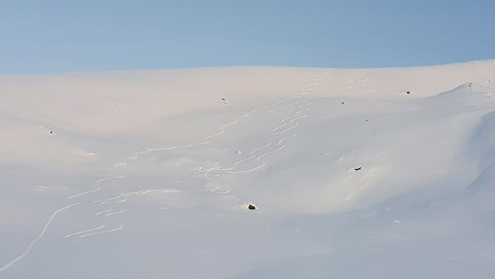 Kvannfjellbotnen