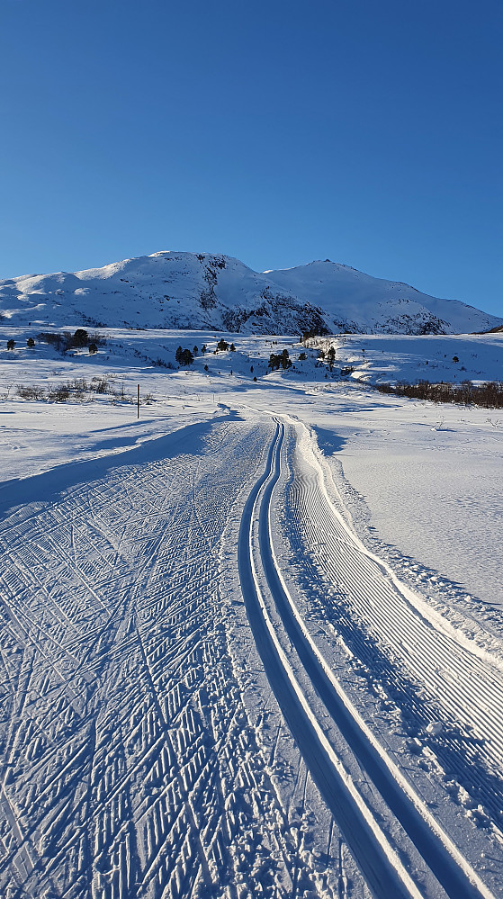 I Vassdalen - Bjørnen ruver i bakgrunnen