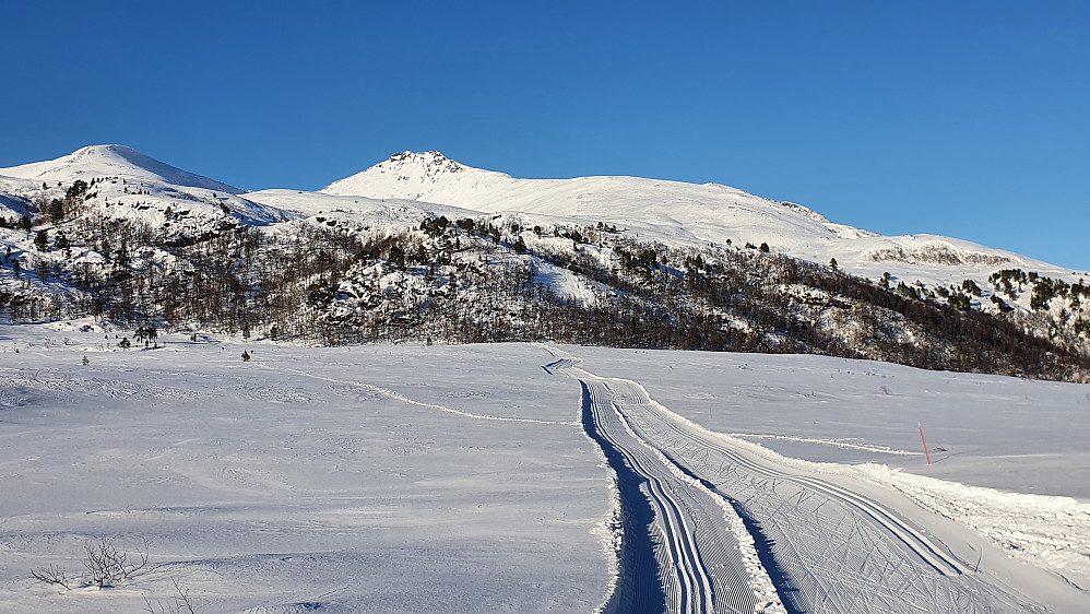 På Langdalsreset - bak Bjørnen