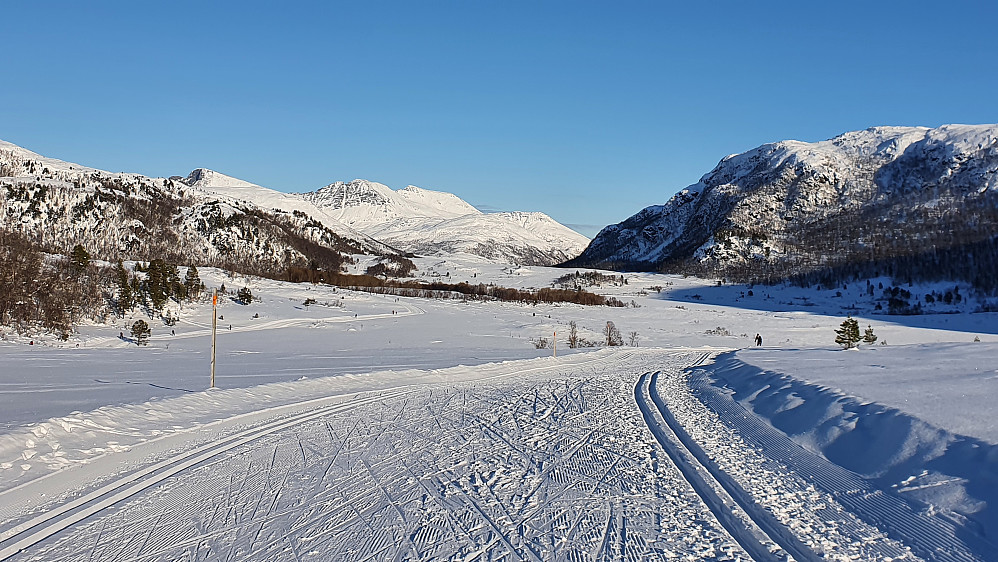 På Berrmyran