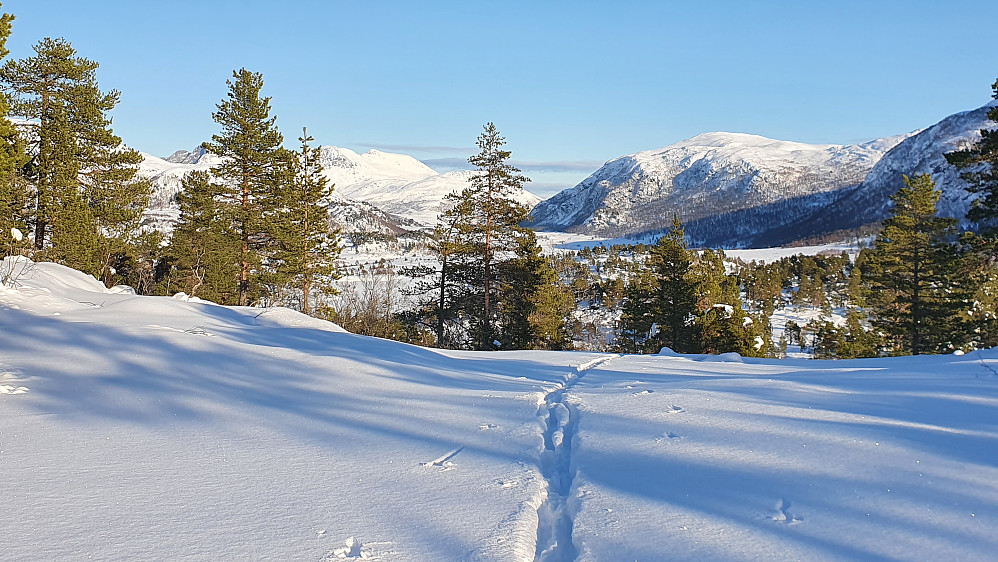 Fin liten avstikker i silkesnø til Ulvshaugen