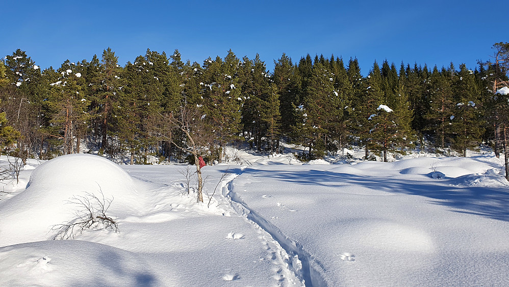 Fint og fredfullt å sette nytt spor mot Dyrhaugen
