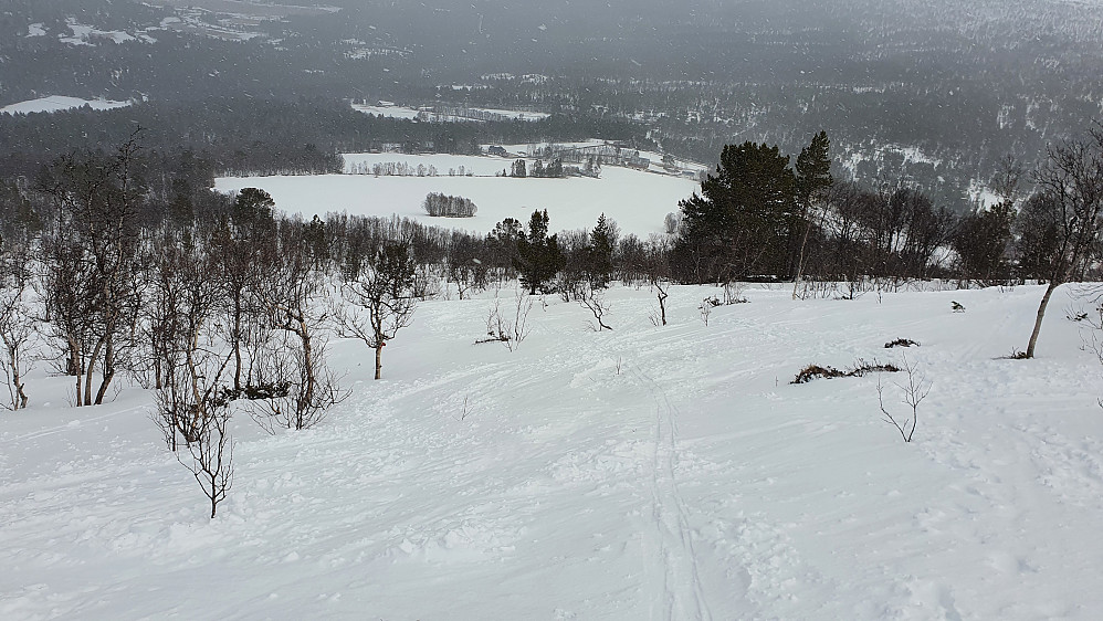 Opp fra Rånå
