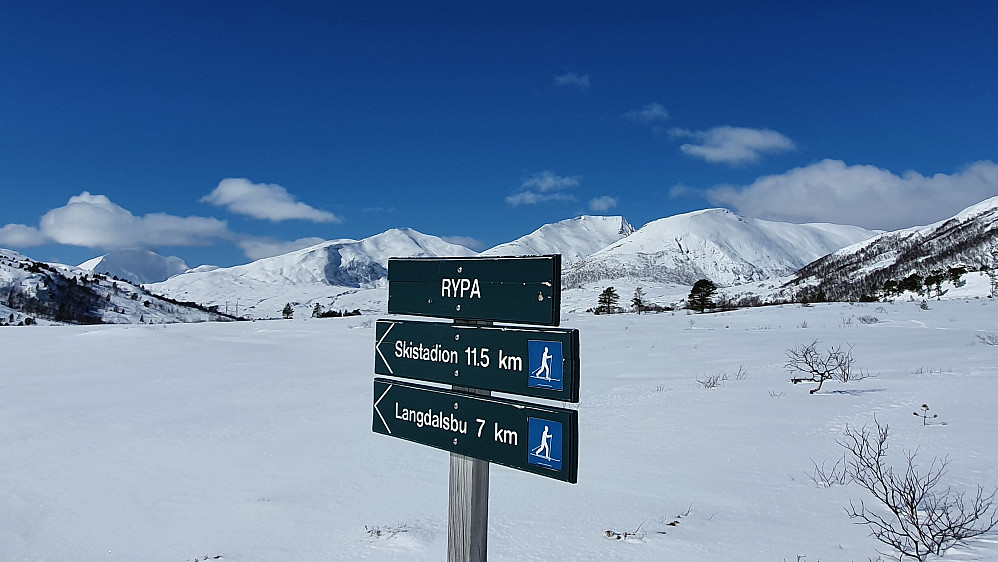 På Rypa