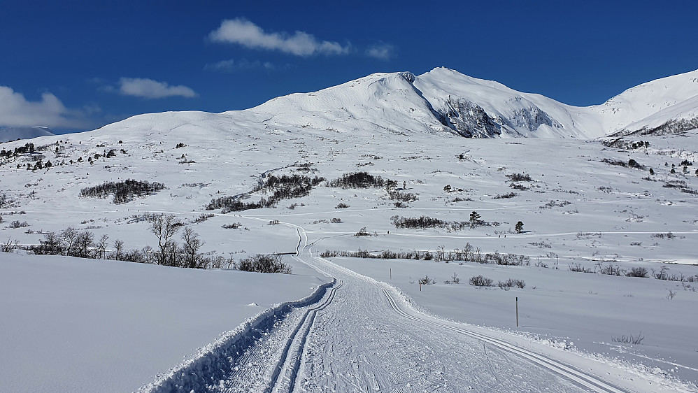 I Langdalen. Bak ruver Bjørnen. 