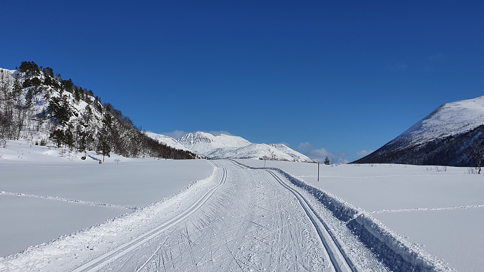 På Langdalsreset 