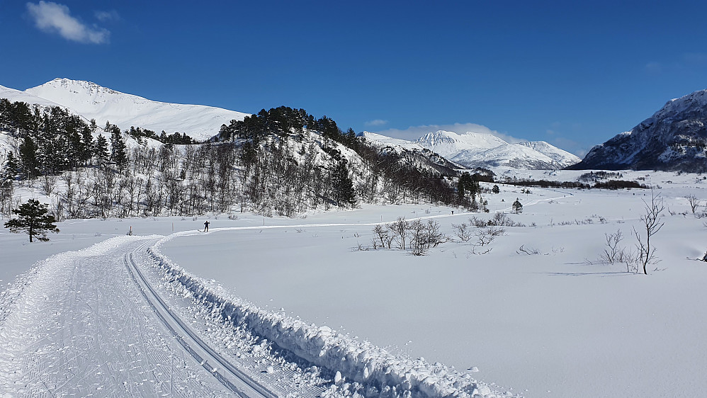 Ned mot Kringla