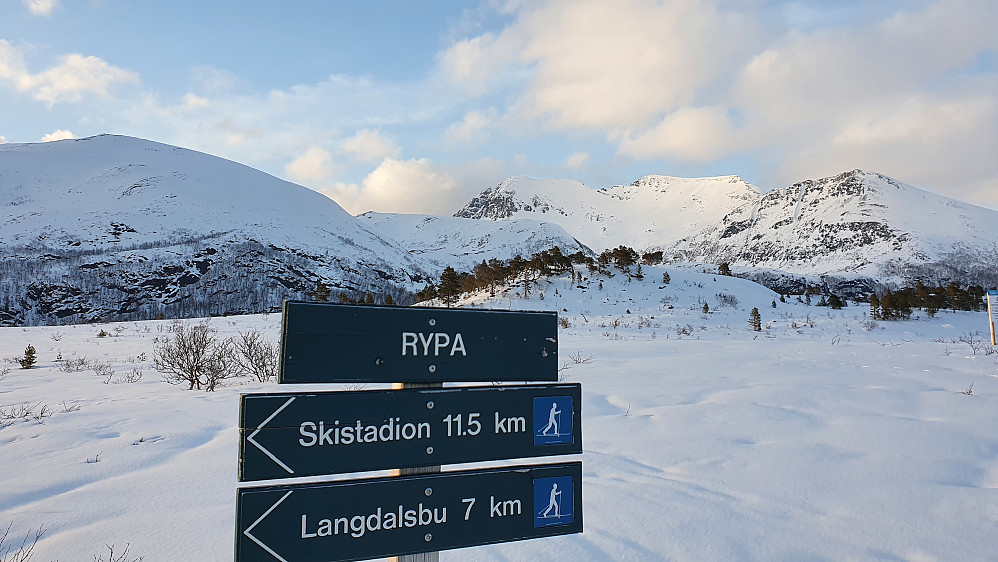 På Rypa - Snøtind ruver i bakgrunnen 