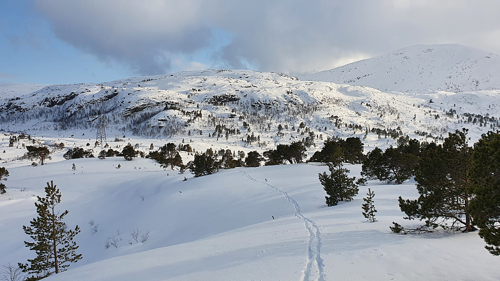 Oppe på Knausan - mot Kloppafjellet 