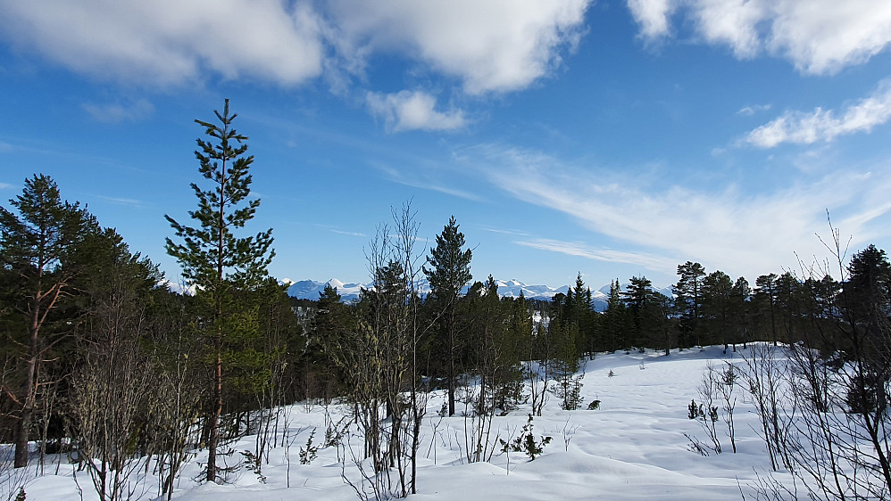 Ikke verdens beste utsikt fra Moldegårdshaugen..