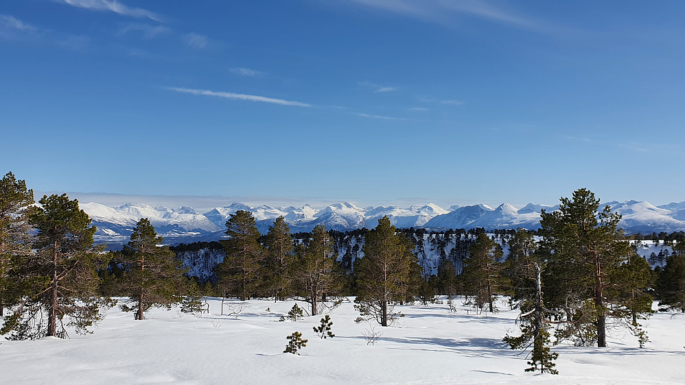 Moldepanoramabilde