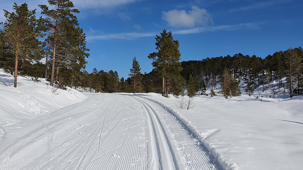 Flotte forhold :-)