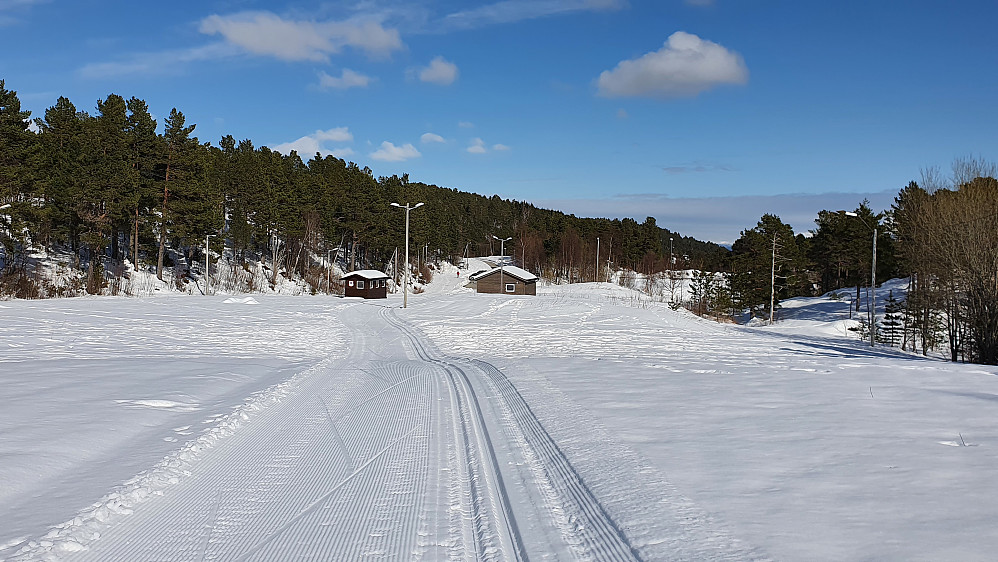 Ved Jensgurilia