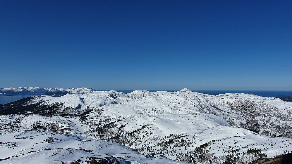 Moldemarka 