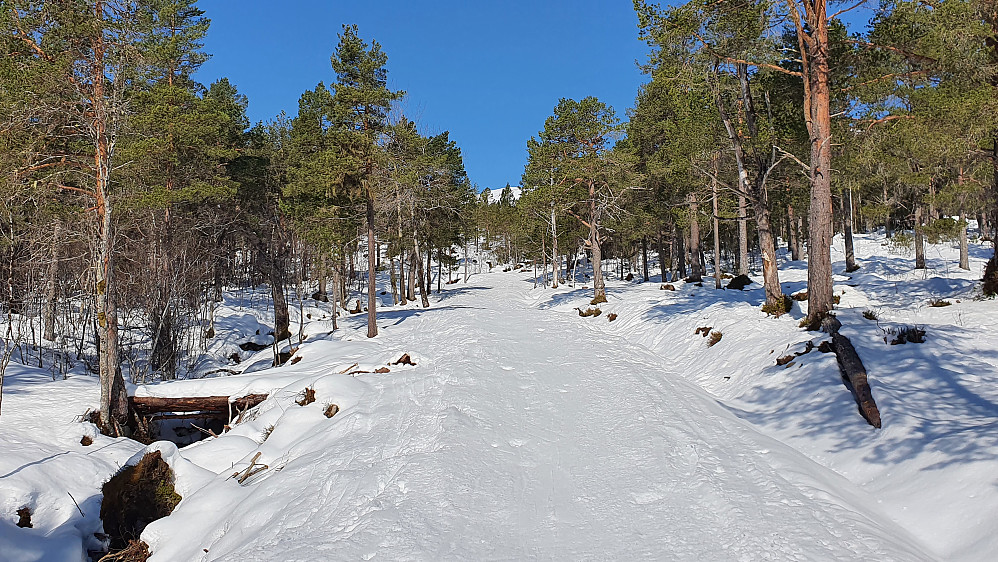 Eventyrskogen 