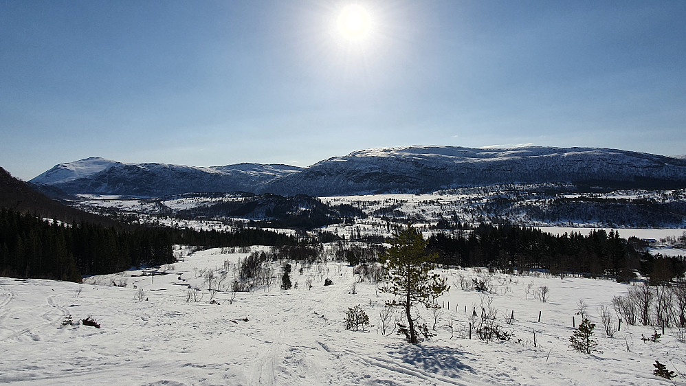 Mot Maifjellet og Lønsetfjellet 