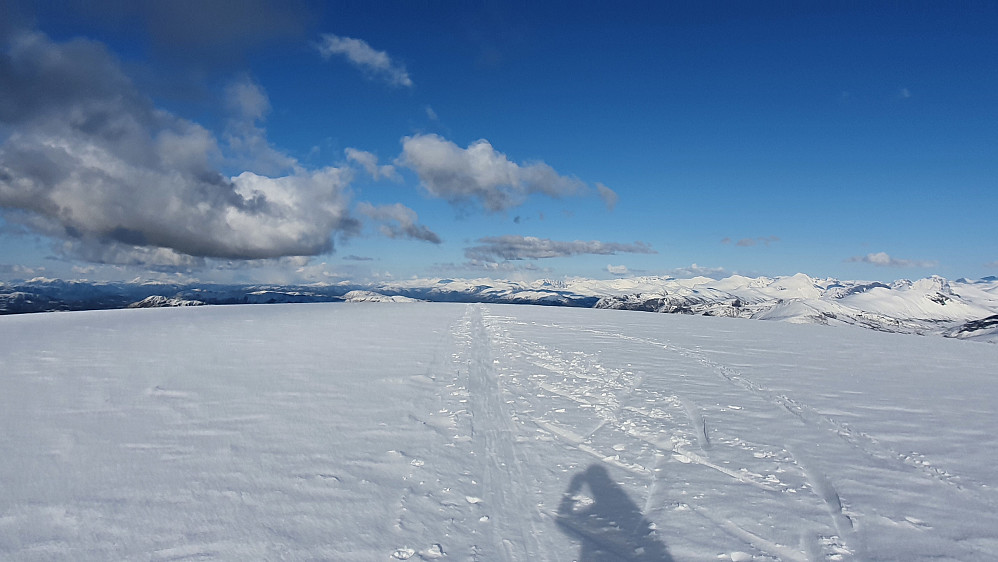 Romslig slette på Skåla 