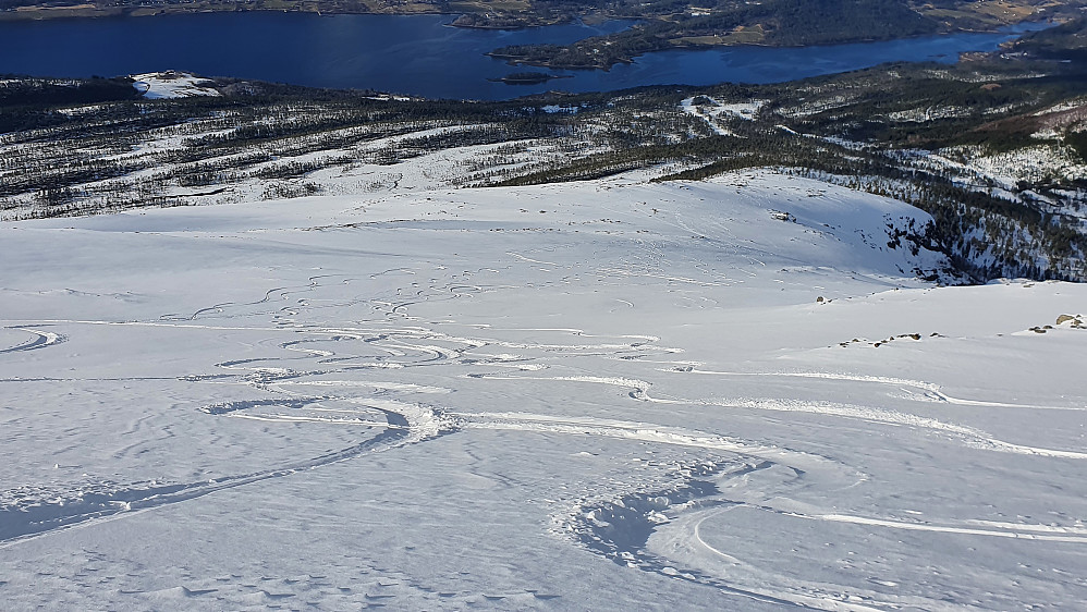 Beste partiet på turen - kjøring mot fjorden