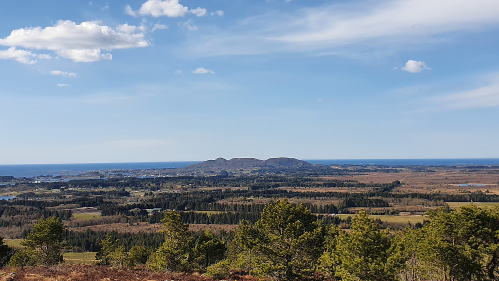 Gulberget midt i bildet